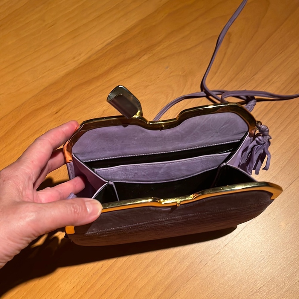 Albanese Roma Clutch Purse With Shoulder Strap View 3